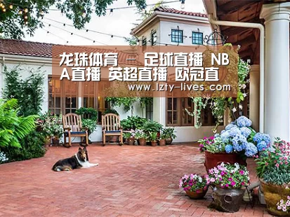 客户案例标题九