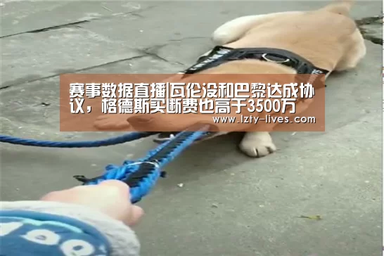 赛事数据直播|瓦伦没和巴黎达成协议,格德斯买断费也高于3500万(图1) 足球直播