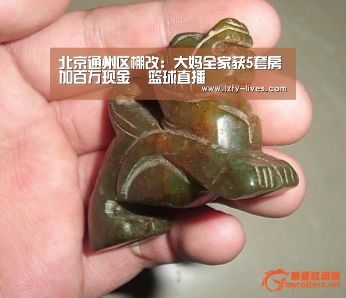  篮球直播