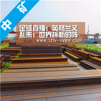  实时比分